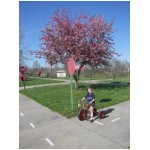 spring biking.jpg